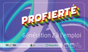 Virtual Pro Pride - French Banner